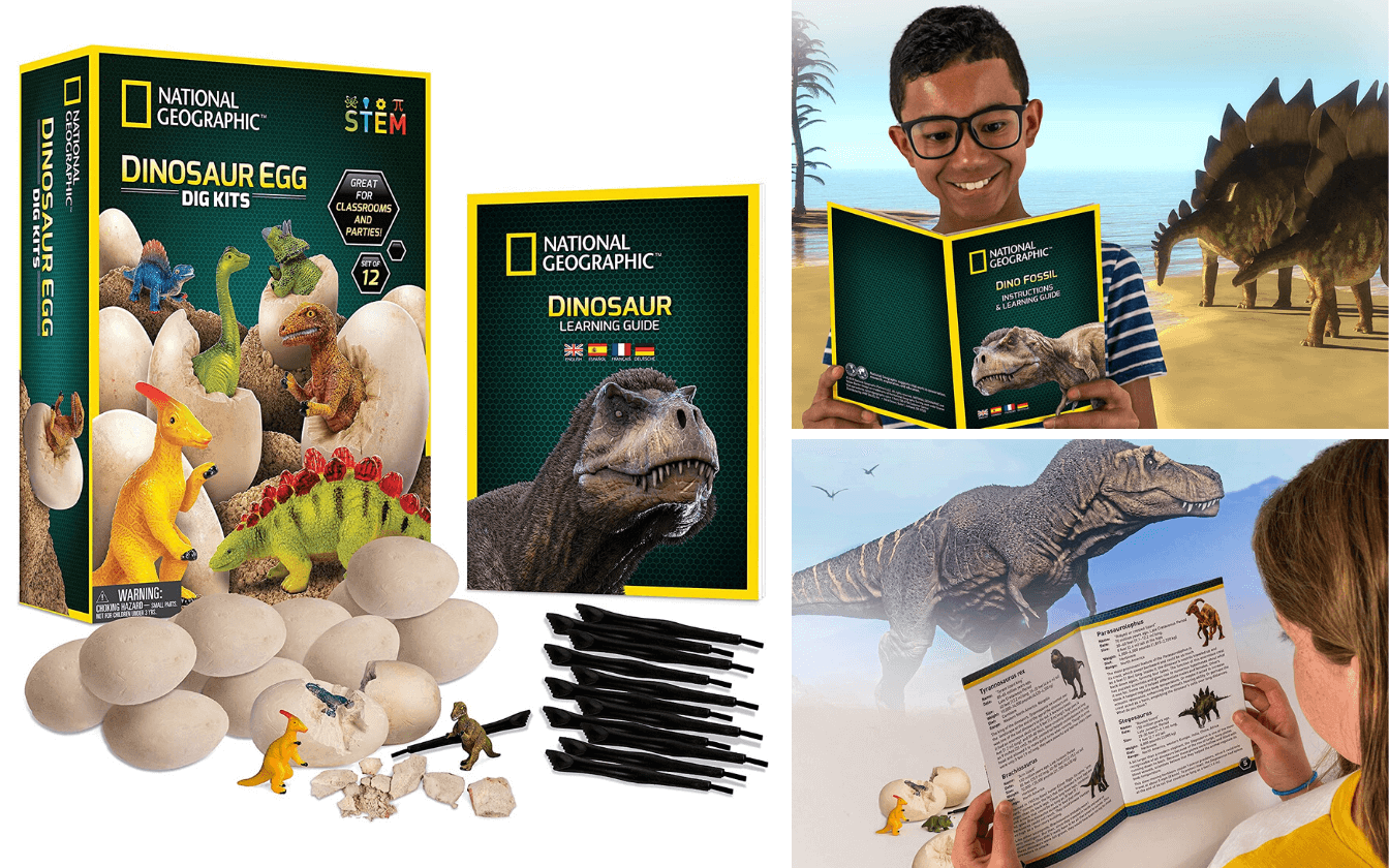 Super Cool National Geographic Dinosaur Dig Kit