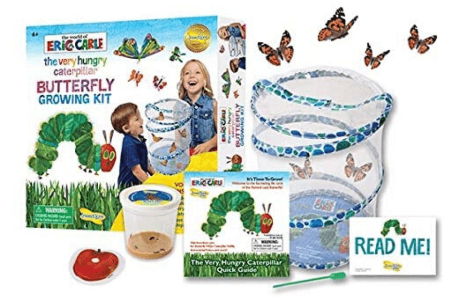 butterfly growing kit