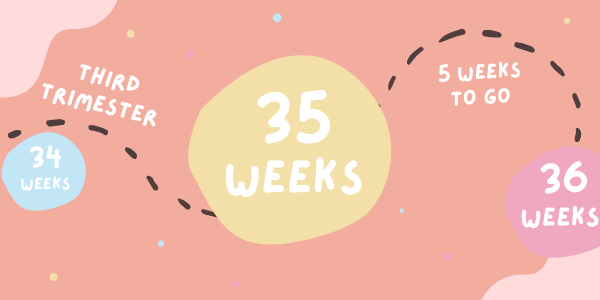 Your Pregnancy - Week 35