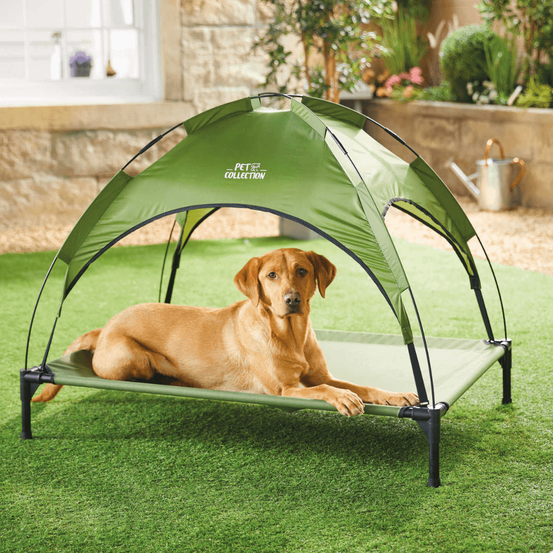 Sunshade Dog Bed just £19.99 @ Aldi - Shopping : Bump, Baby and You ...