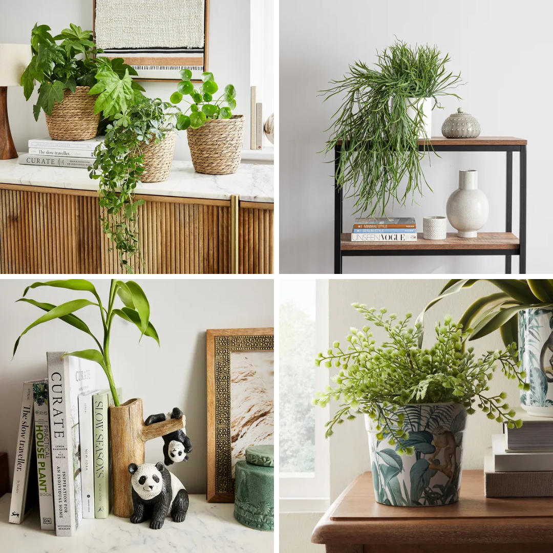 dunelm-plants-and-pots dunelm-plants-and-pots