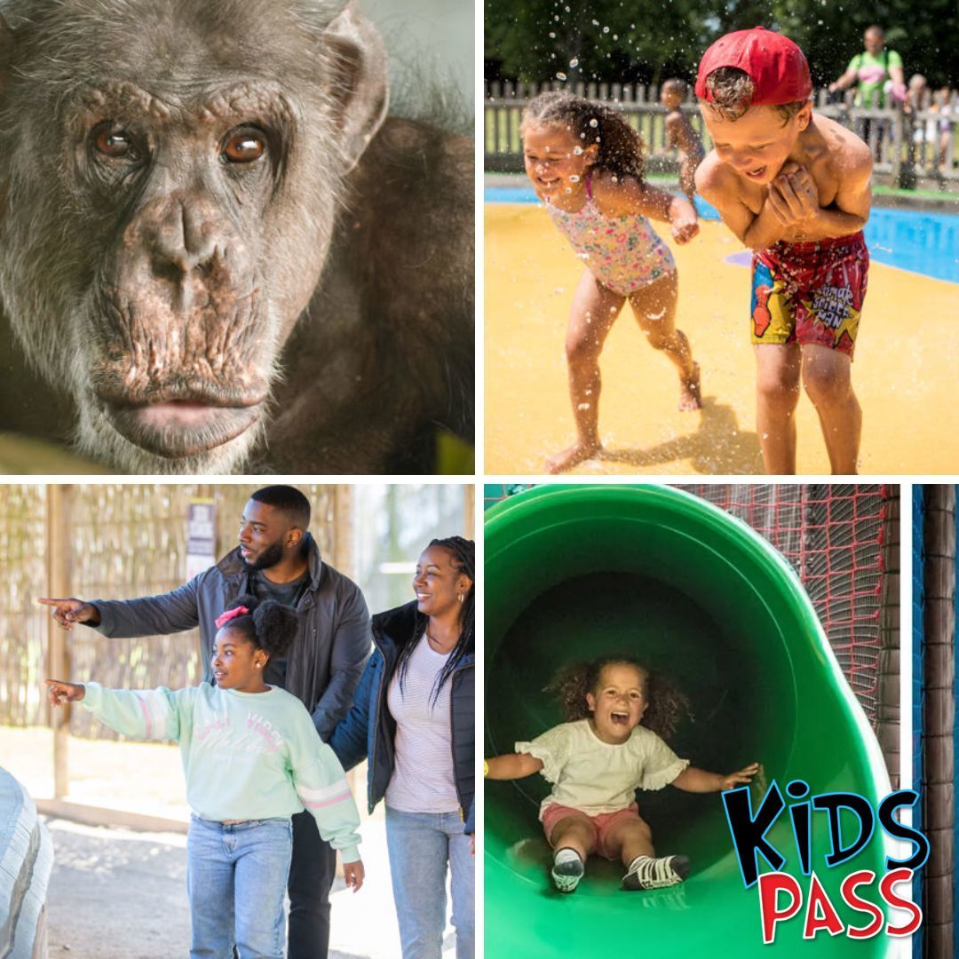 twycross-zoo-kids-pass