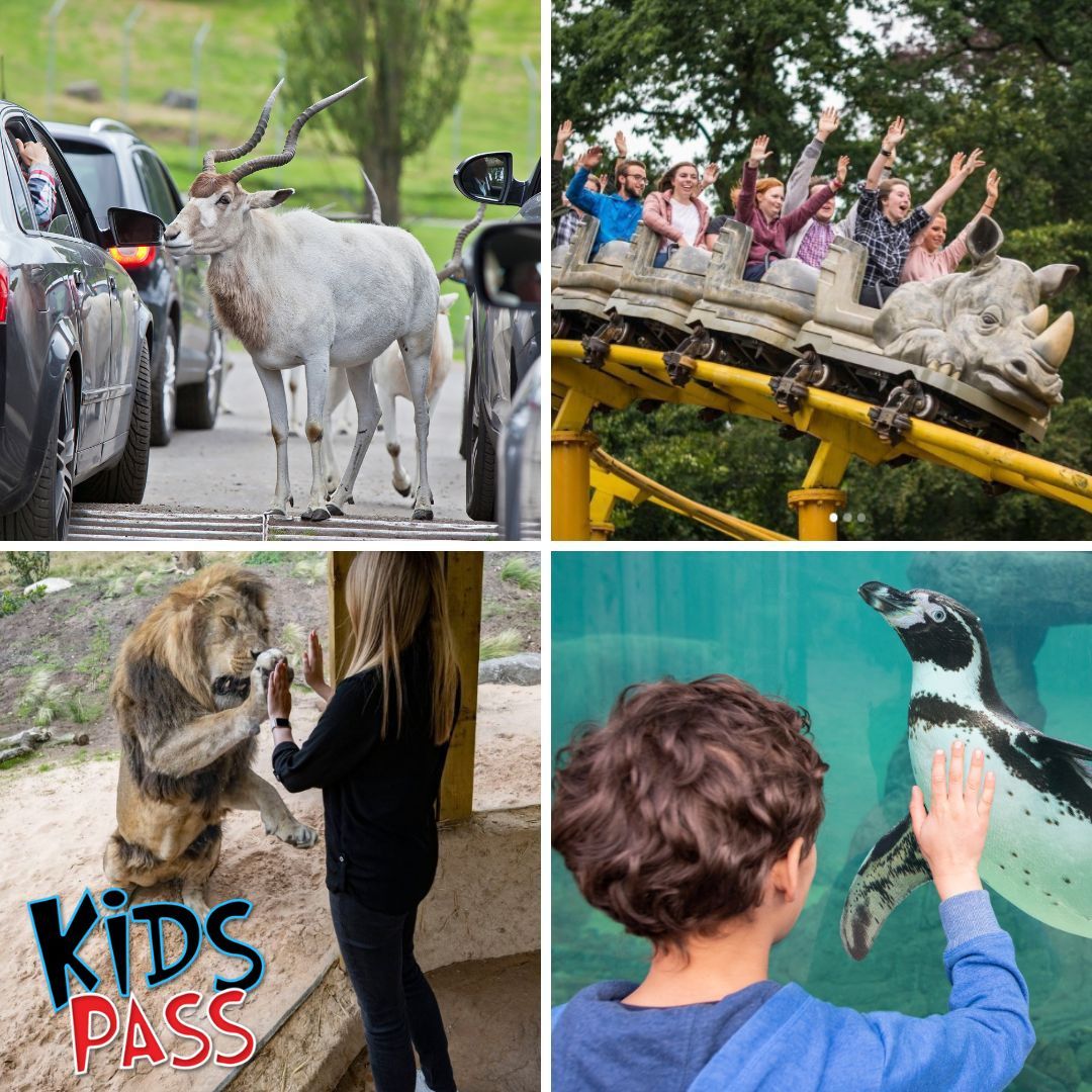 west-midland-safari-park-kids-pass